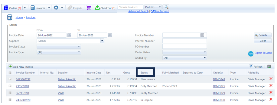 What does my supplier invoice status mean?